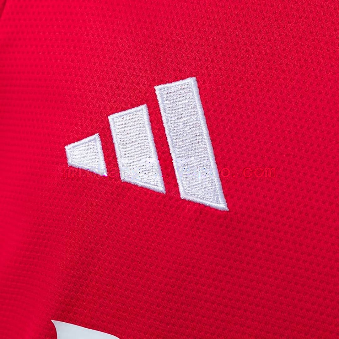 25_26 Long sleeve Benfica home S-XXL 4