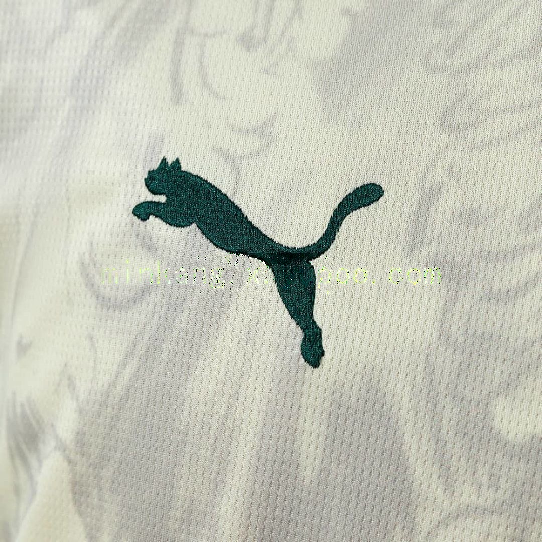 25_26 Palmeiras third away S-4XL 4