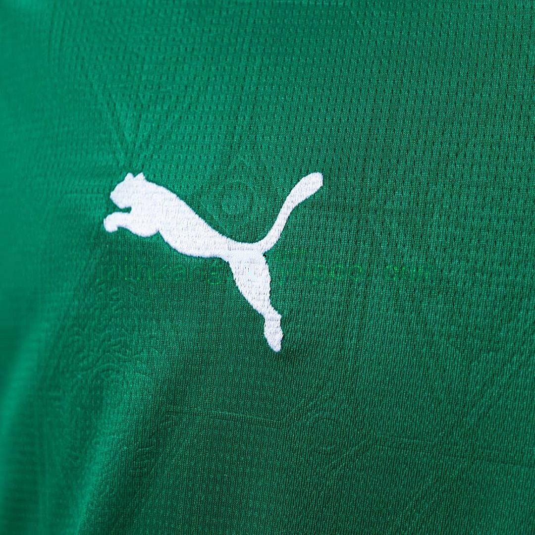 25_26 Palmeiras home All Sponsor S-4XL 3