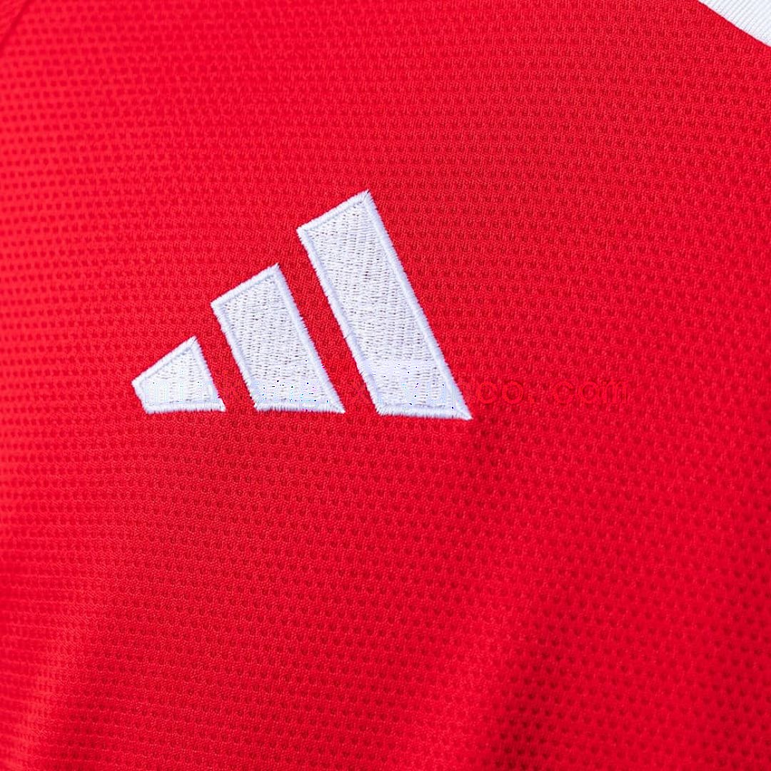 25_26 Brazil Internacional Home All Sponsor S-4XL 4