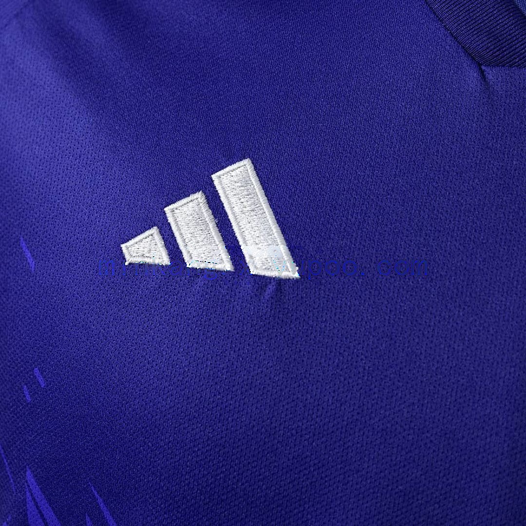 2022 Argentina World Cup jersey away S-XXXL 4