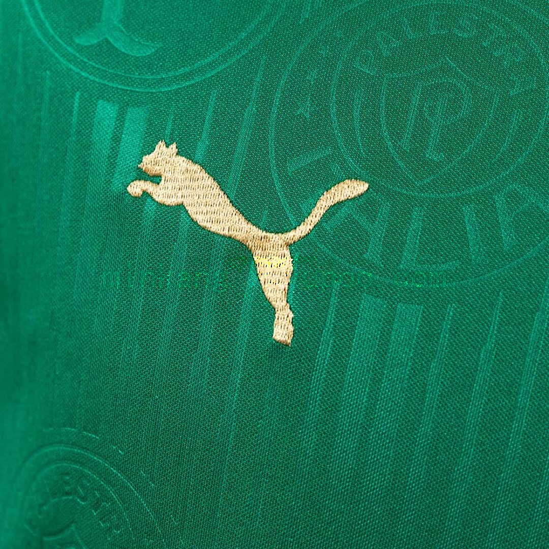 Palmeiras 24_25 Home Jersey S-4XL 4