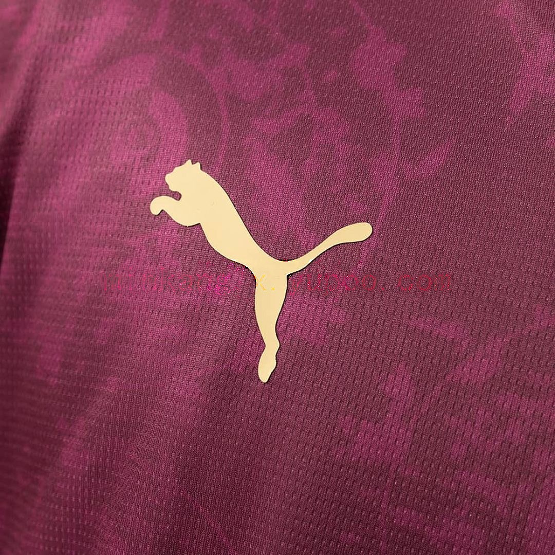 Galatasaray 25_26 Third Away Jersey S-XXL 5