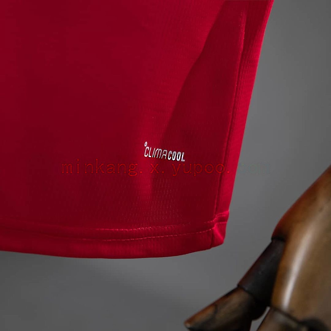 Wales 2026 Home Jersey S-4XL 3