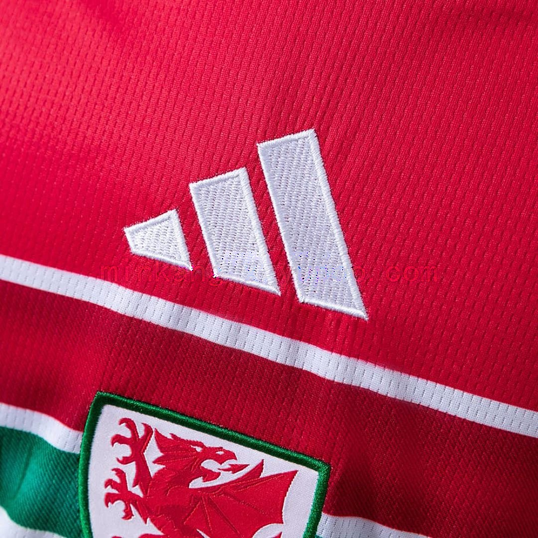 Wales 2026 Home Jersey S-4XL 5