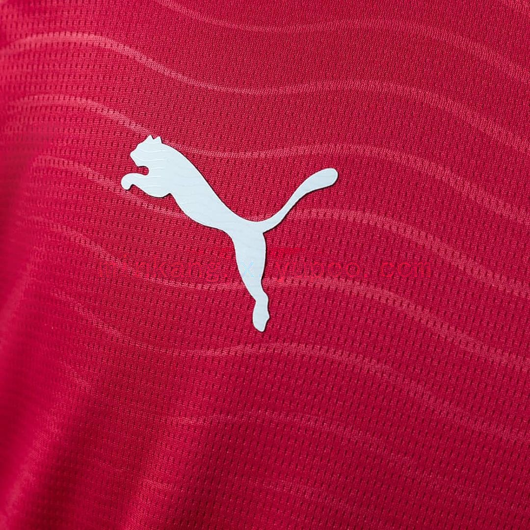 Portugal 2026 Home Long-sleeved Jersey S-4XL 6