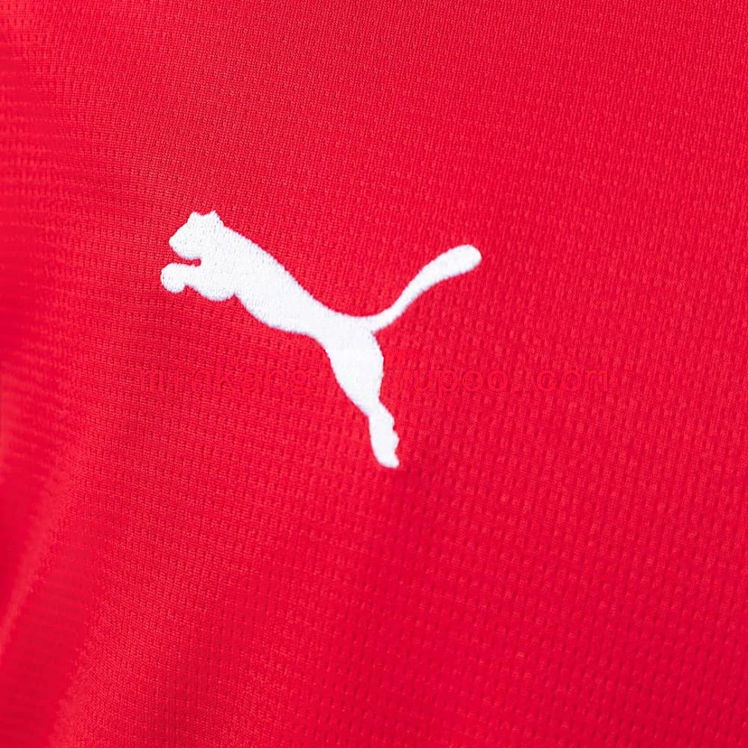 Austria 2026 local camiseta S-XXL 6