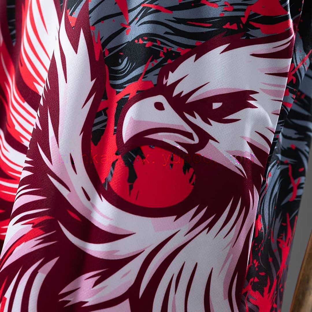 Japan 25_26 Concept Eagle Jersey S-XXL 4