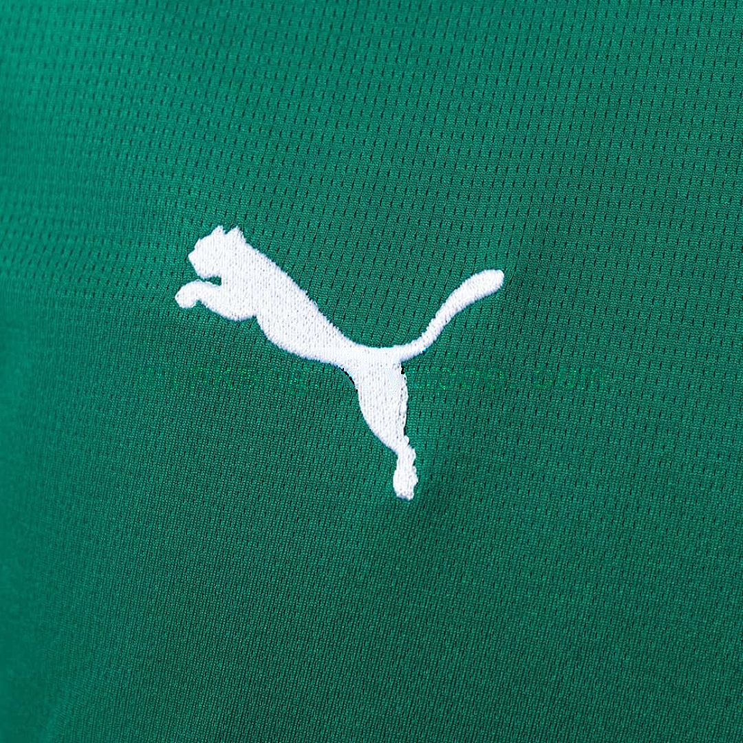 Palmeiras 26_27 Home Jersey S-4XL 4