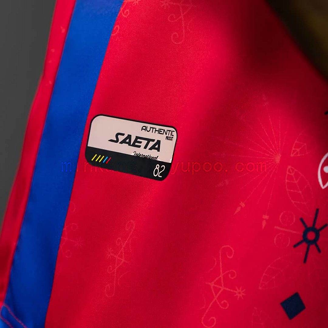 Haiti 2026 Third Away Jersey S-4XL 4