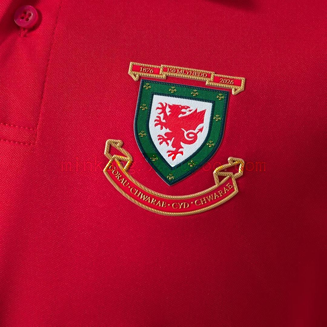 Wales 150th Anniversary Edition Jersey S-4XL 7