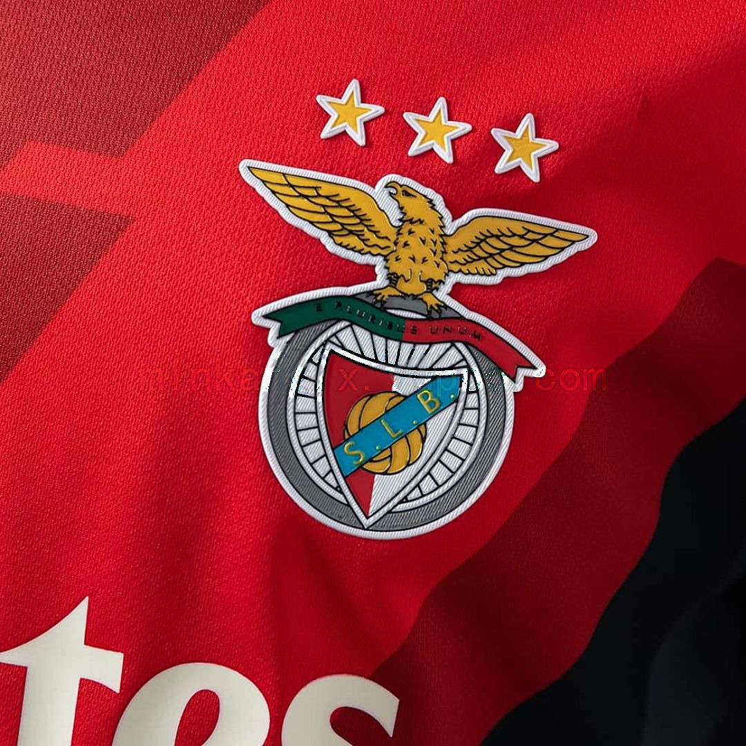 Benfica 25_26 Special Edition - Grey Jersey S-XXL 6