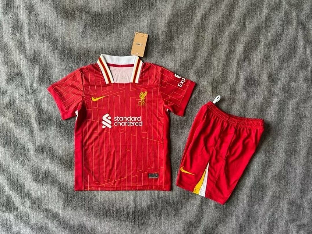 Fan Edition 16