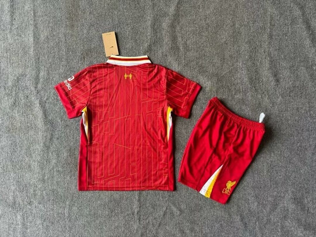 Fan Edition 17