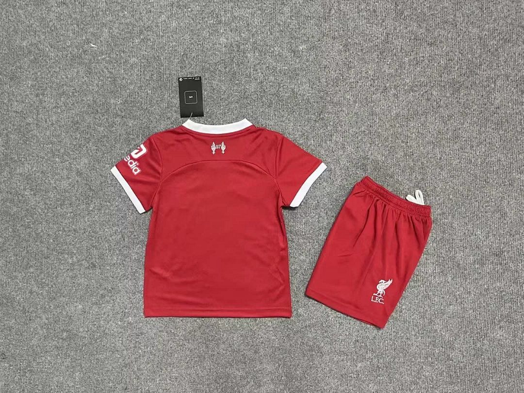 Fan Edition 55