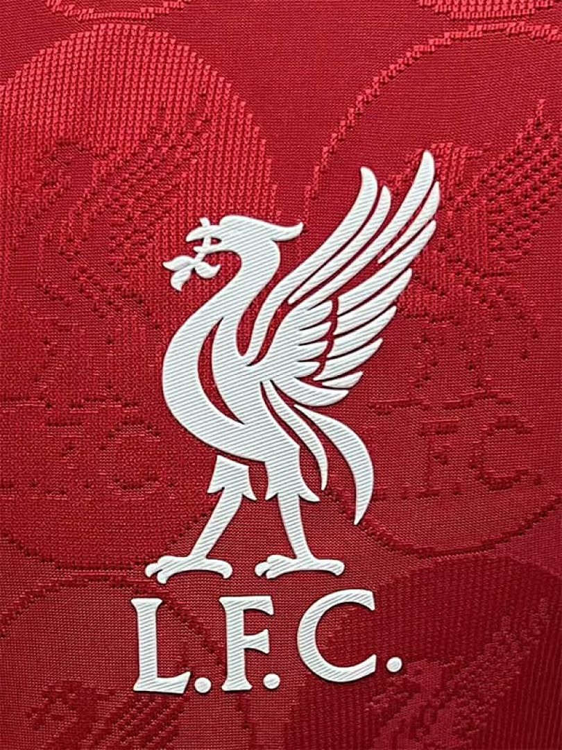 25-26 Players Liverpool Red Special Edition Kit S-3XL Cheap Football Jersey Wholesale Yupoo 2
