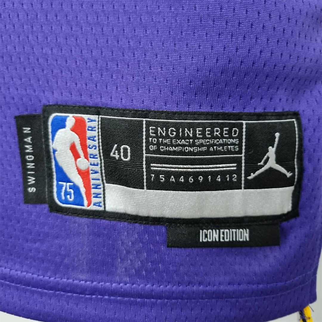 75th Anniversary Davis #3 Los Angeles Lakers Jordan Purple NBA Jersey 3