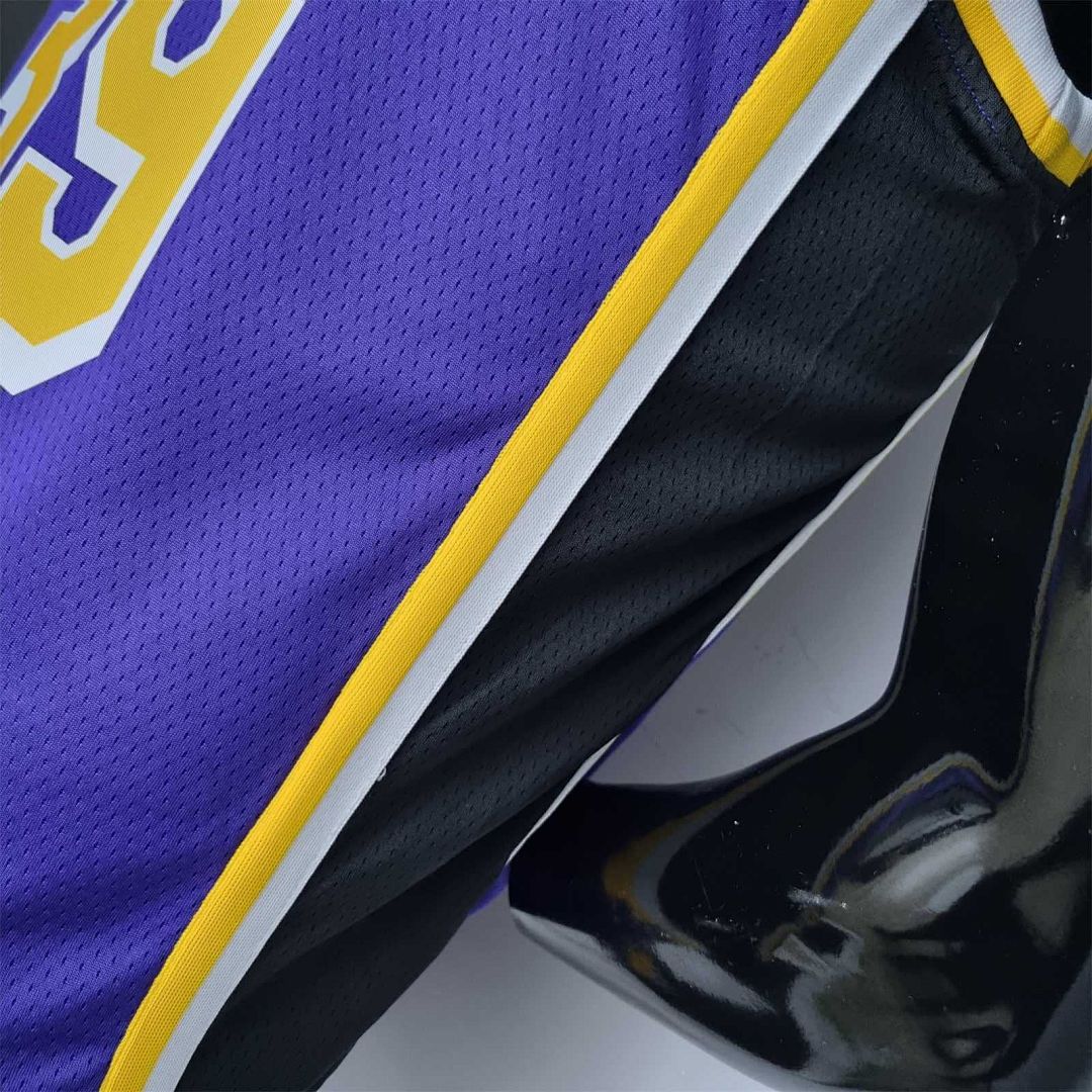 75th Anniversary Howard #39 Los Angeles Lakers Jordan Purple NBA Jersey 6