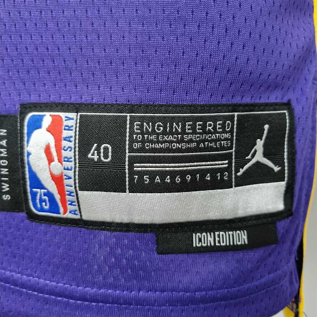 75th Anniversary Howard #39 Los Angeles Lakers Jordan Purple NBA Jersey 7