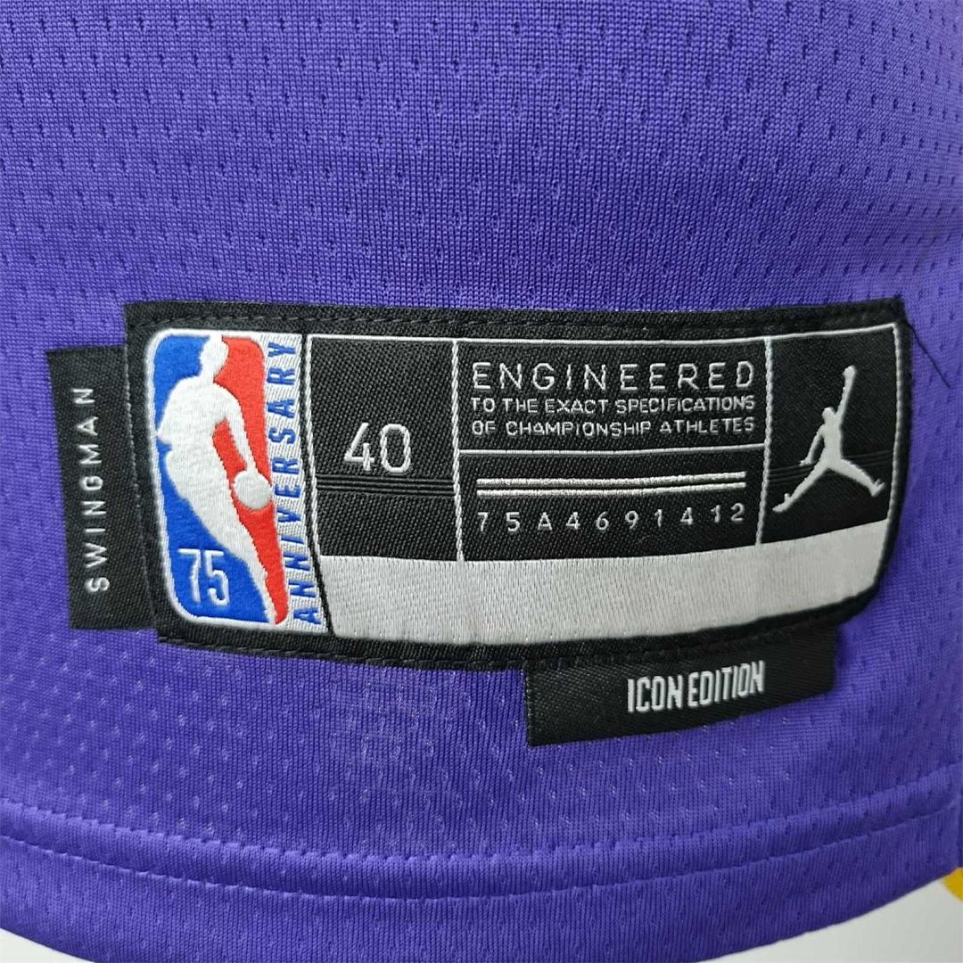 75th Anniversary James #6 Los Angeles Lakers Jordan Purple NBA Jersey 10