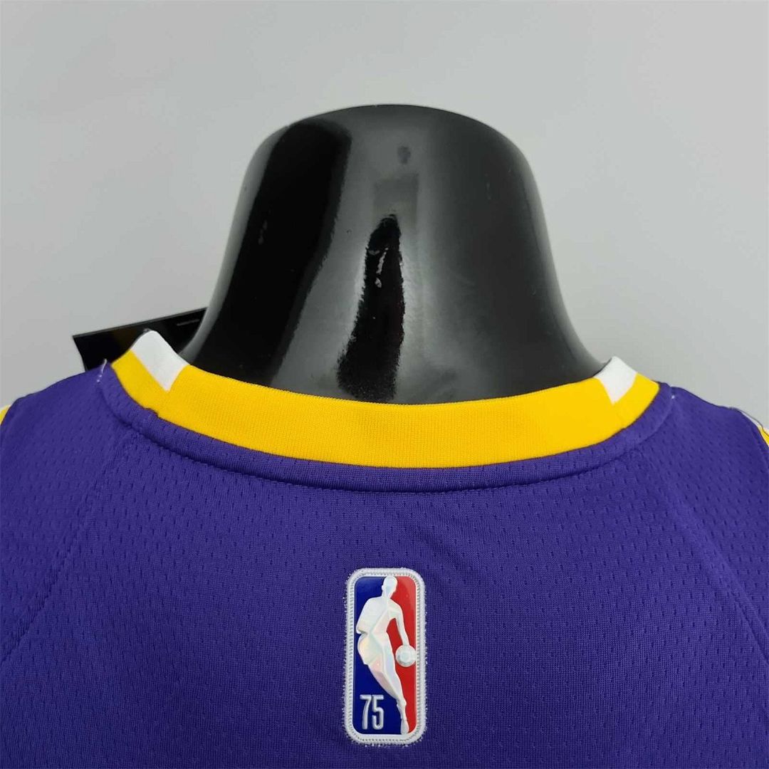 75th Anniversary James #6 Los Angeles Lakers Jordan Purple NBA Jersey 2