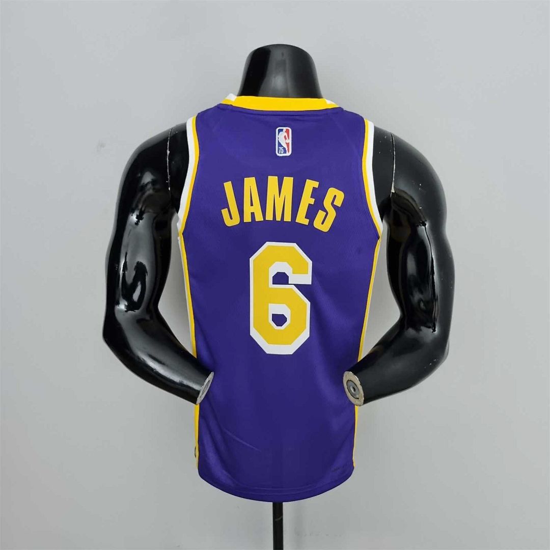 75th Anniversary James #6 Los Angeles Lakers Jordan Purple NBA Jersey 3
