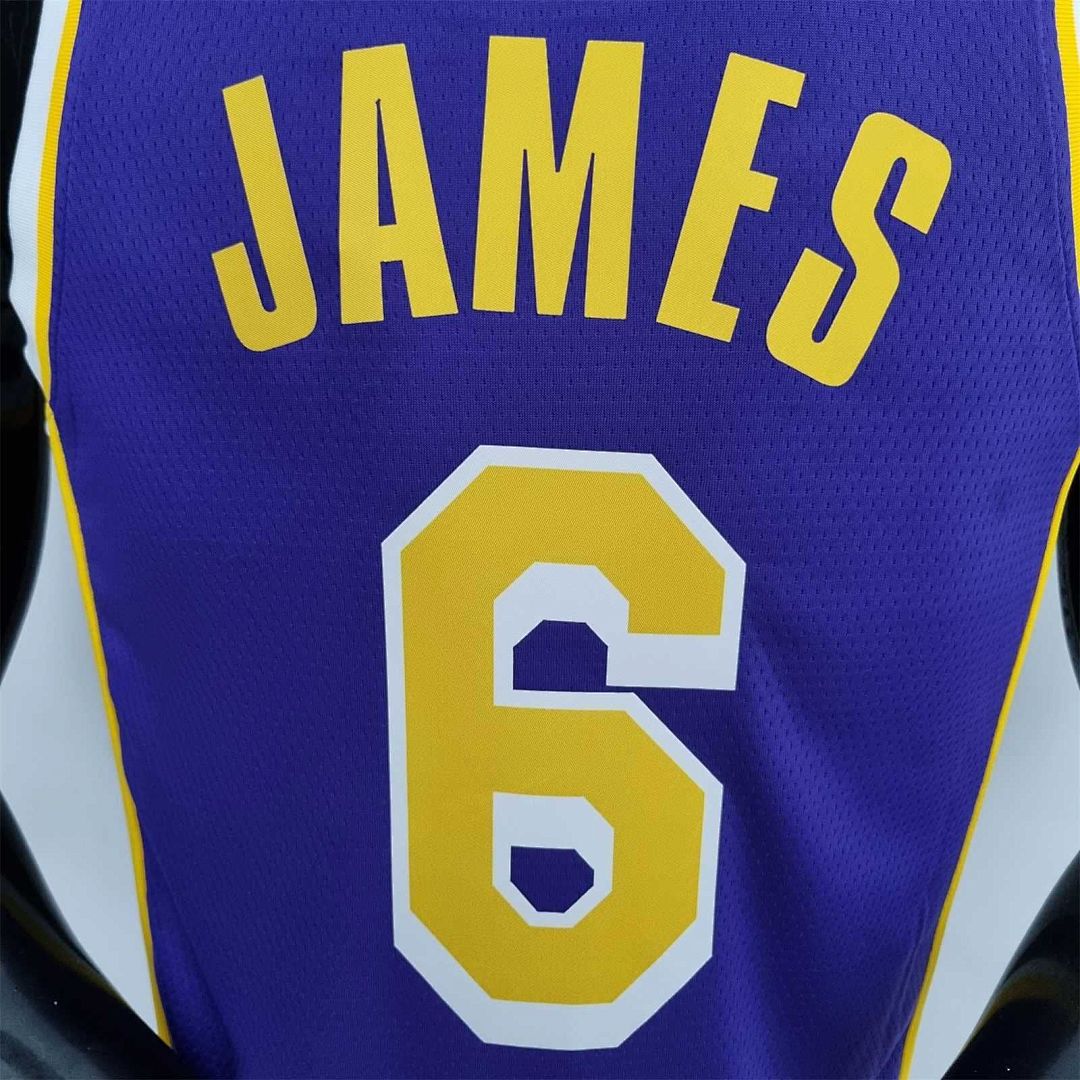 75th Anniversary James #6 Los Angeles Lakers Jordan Purple NBA Jersey 4