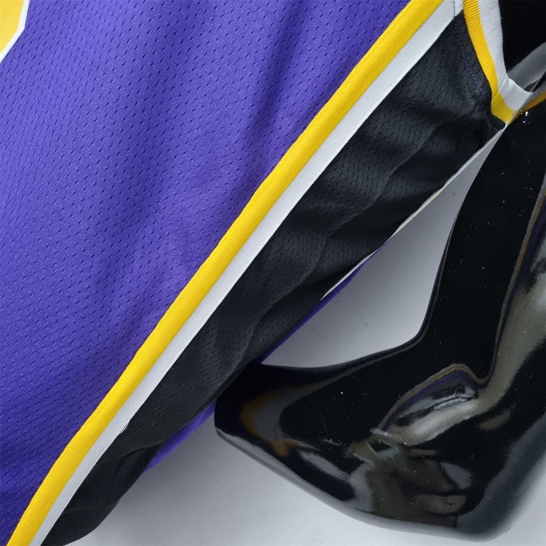 75th Anniversary James #6 Los Angeles Lakers Jordan Purple NBA Jersey 9