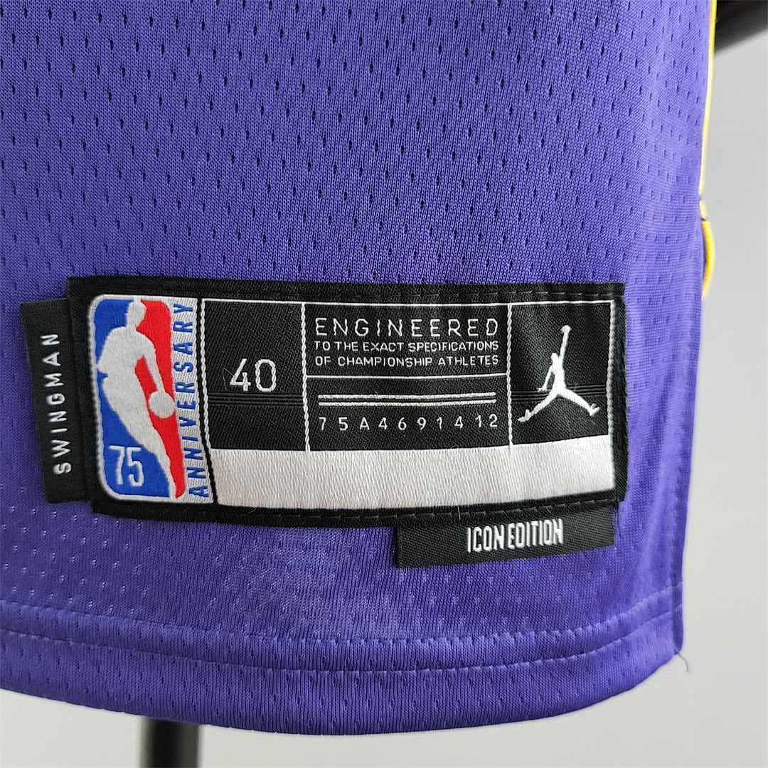 75th Anniversary TOSCANO #95 Los Angeles Lakers Jordan Purple NBA Jersey 7