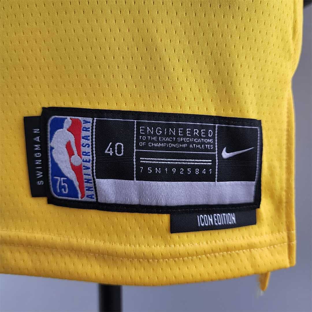 75th Anniversary TOSCANO #95 Los Angeles Lakers Yellow NBA Jersey 6