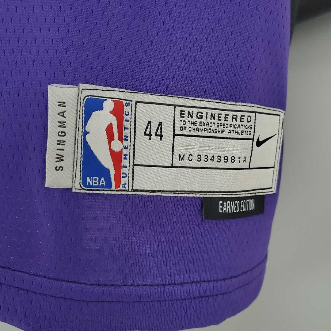 SIAKAM#43 2021 Raptors Bonus Edition Purple and Black 4