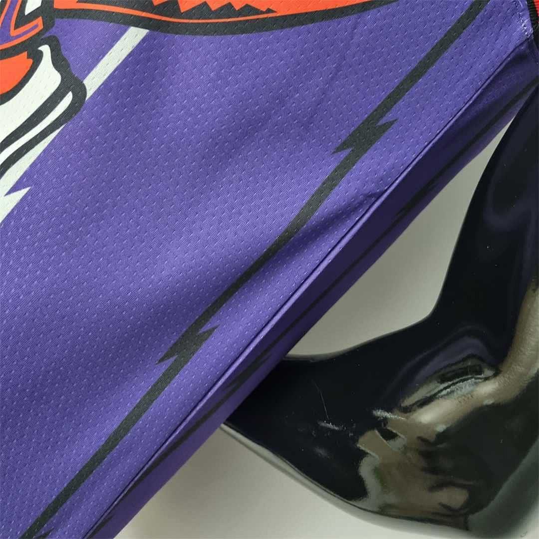 Toronto Raptors SIAKAM #43 Purple NBA Jersey 6