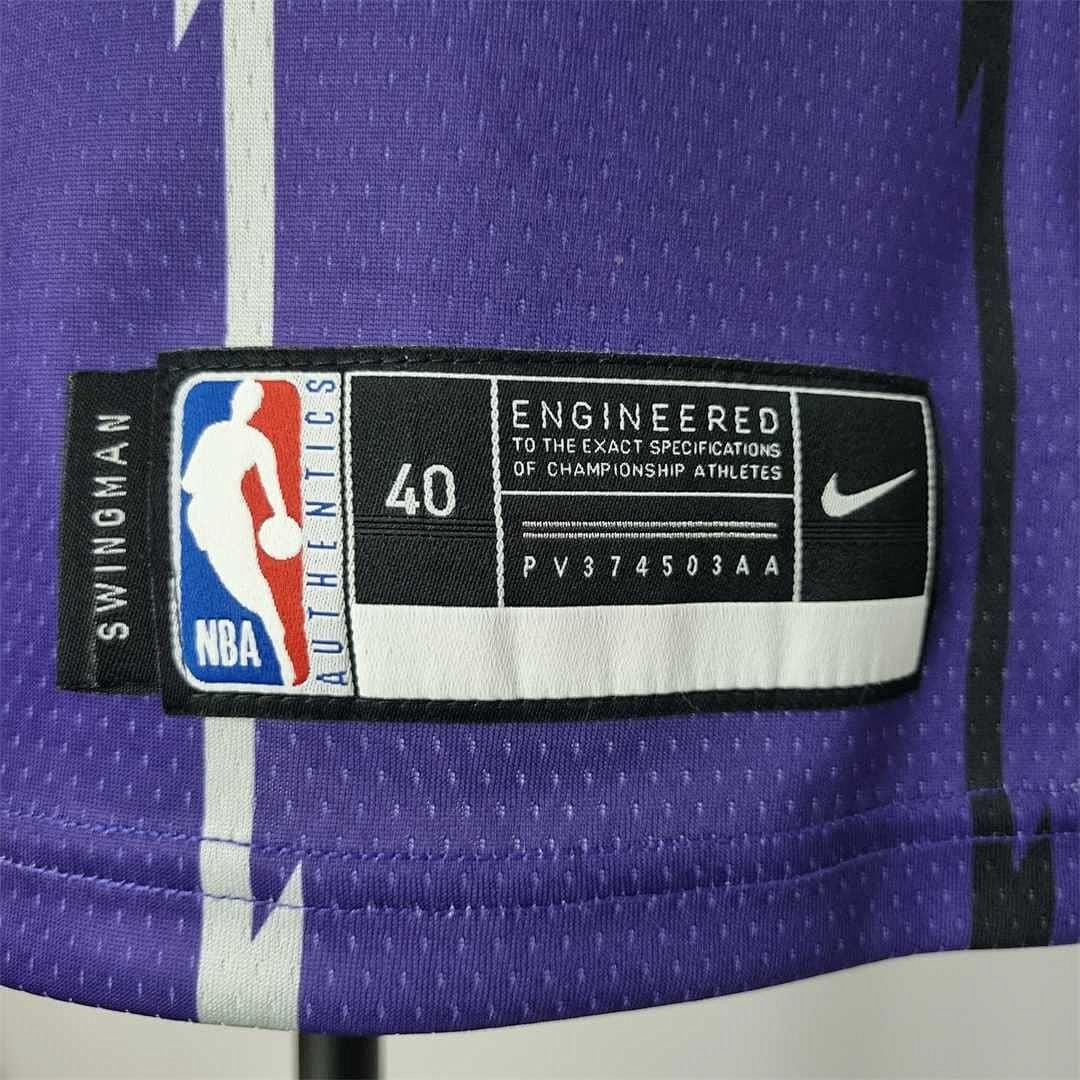 Toronto Raptors SIAKAM #43 Purple NBA Jersey 7