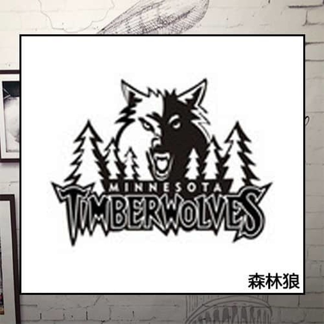 Minnesota Timberwolves
