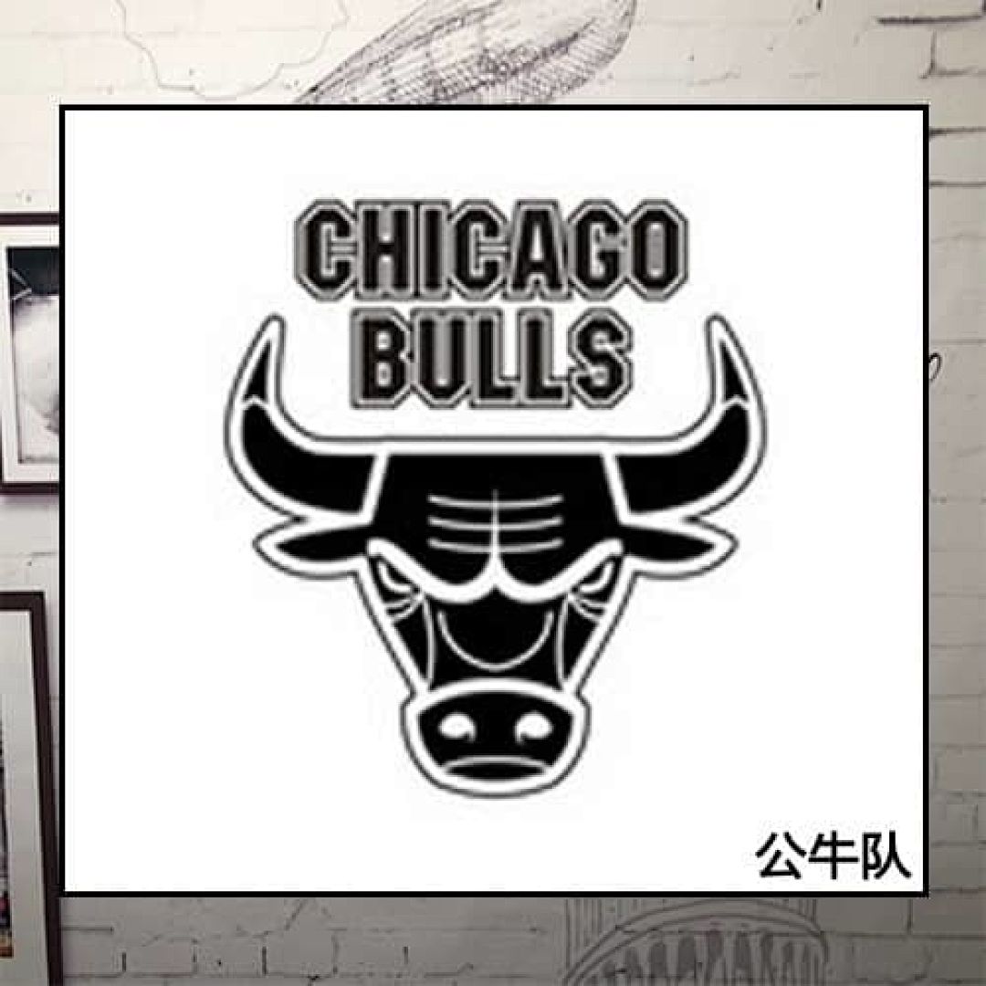 Chicago Bulls