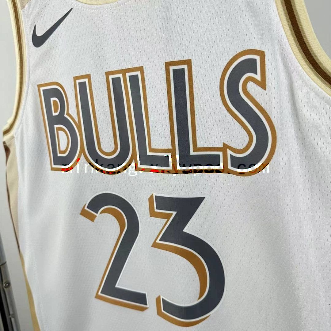 2025 Chicago Bulls Jordan #23 City Edition NBA Jersey 9
