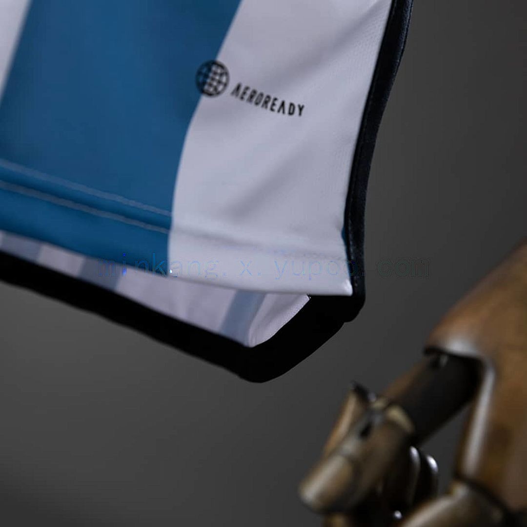 2022 Argentina 3-star World Cup jersey home S-XXXL 2