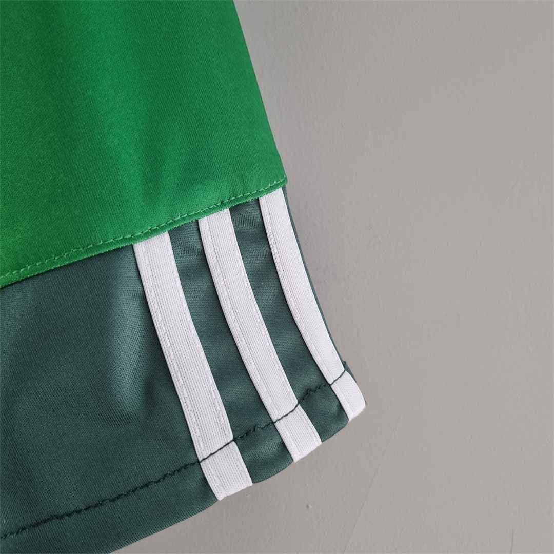 10-11 Palmeiras home 6