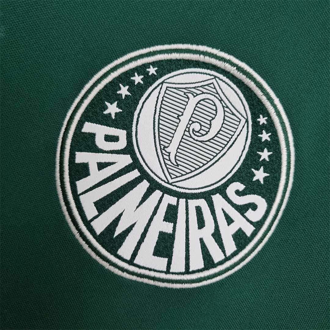 14-15 Palmeiras home 3