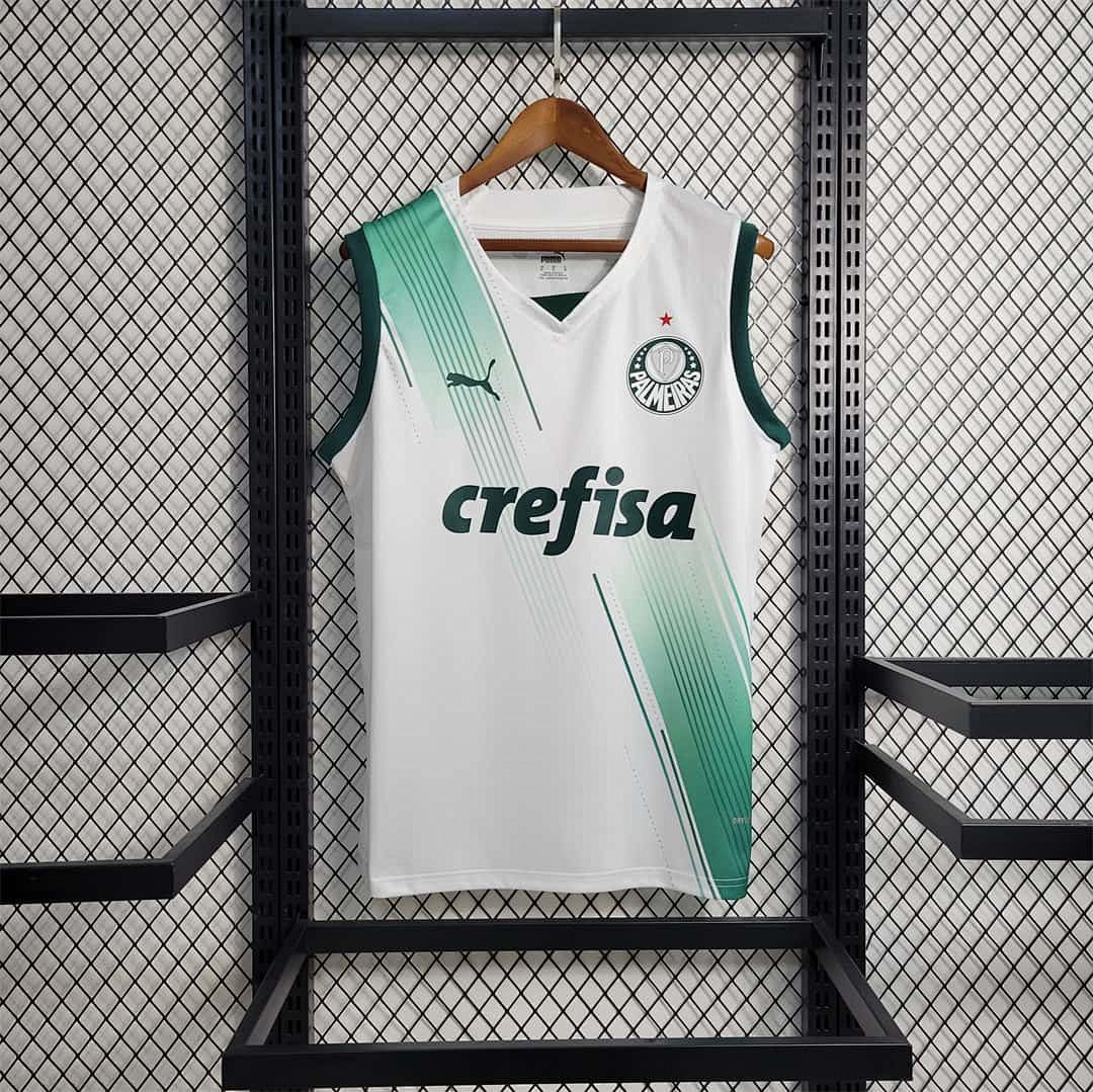 23-24 Palmeiras away tank