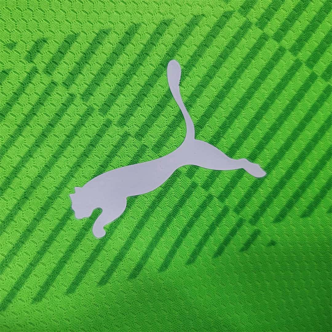 23-24 Palmeiras fluorescent green goalkeeper 4