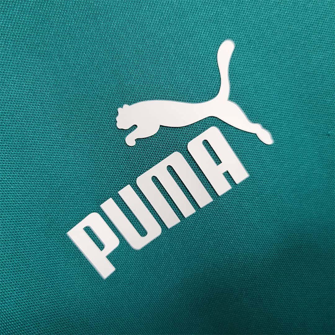23-24 Palmeiras Green Training Suit 3