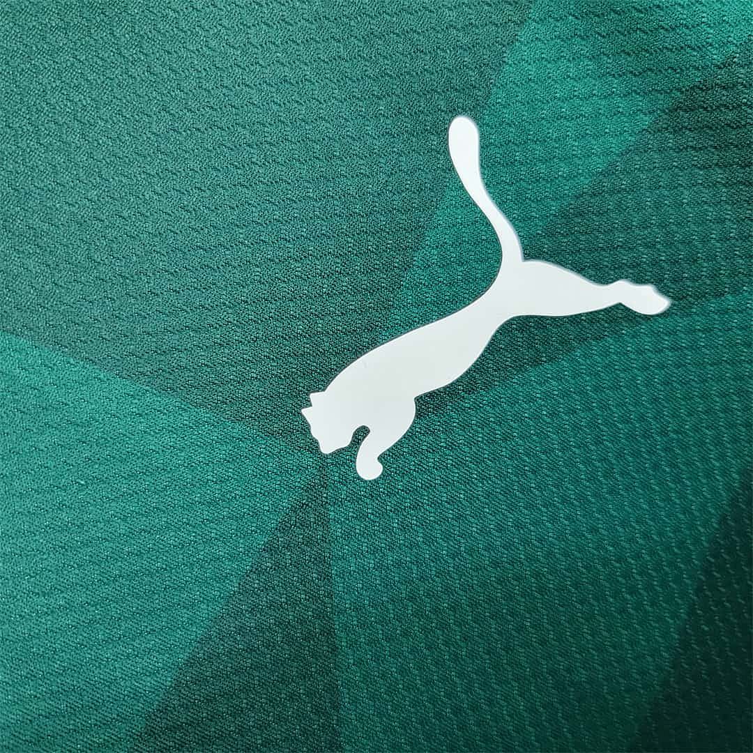 23-24 Palmeiras home S-4XL 11