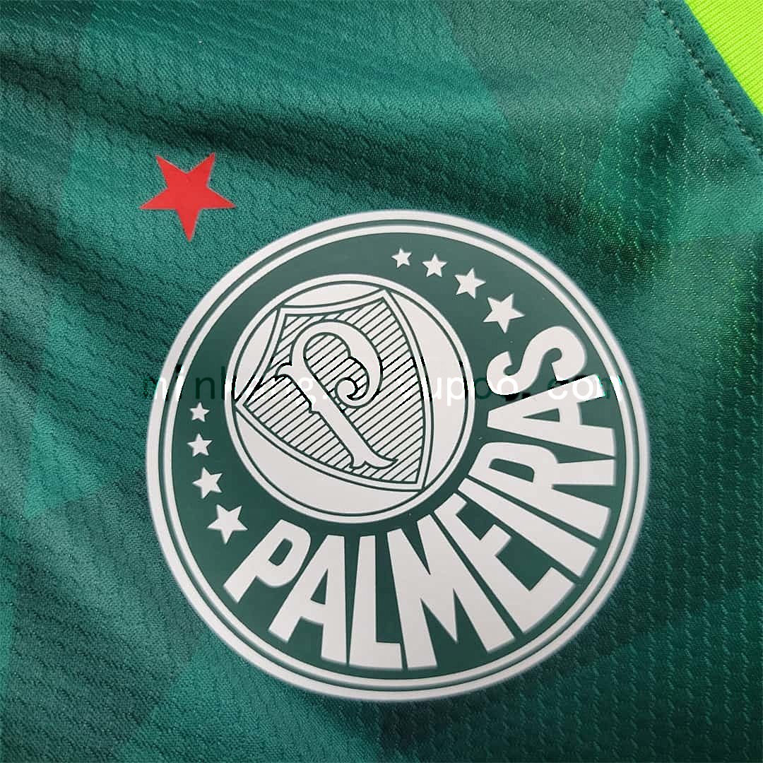 23-24 Palmeiras home tank 4