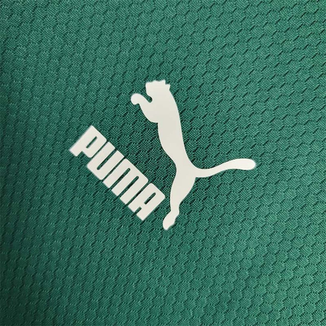 23-24 Palmeiras entrenamiento traje verde Size S-XXL 4