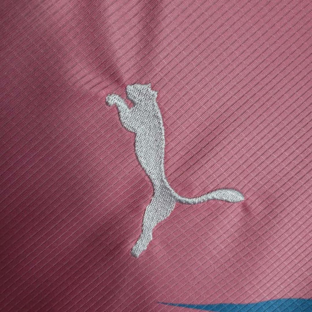 23-24 Palmeiras Special Edition Pink&amp;amp;Blue S-4XL Cheap Soccer Jerseys 3
