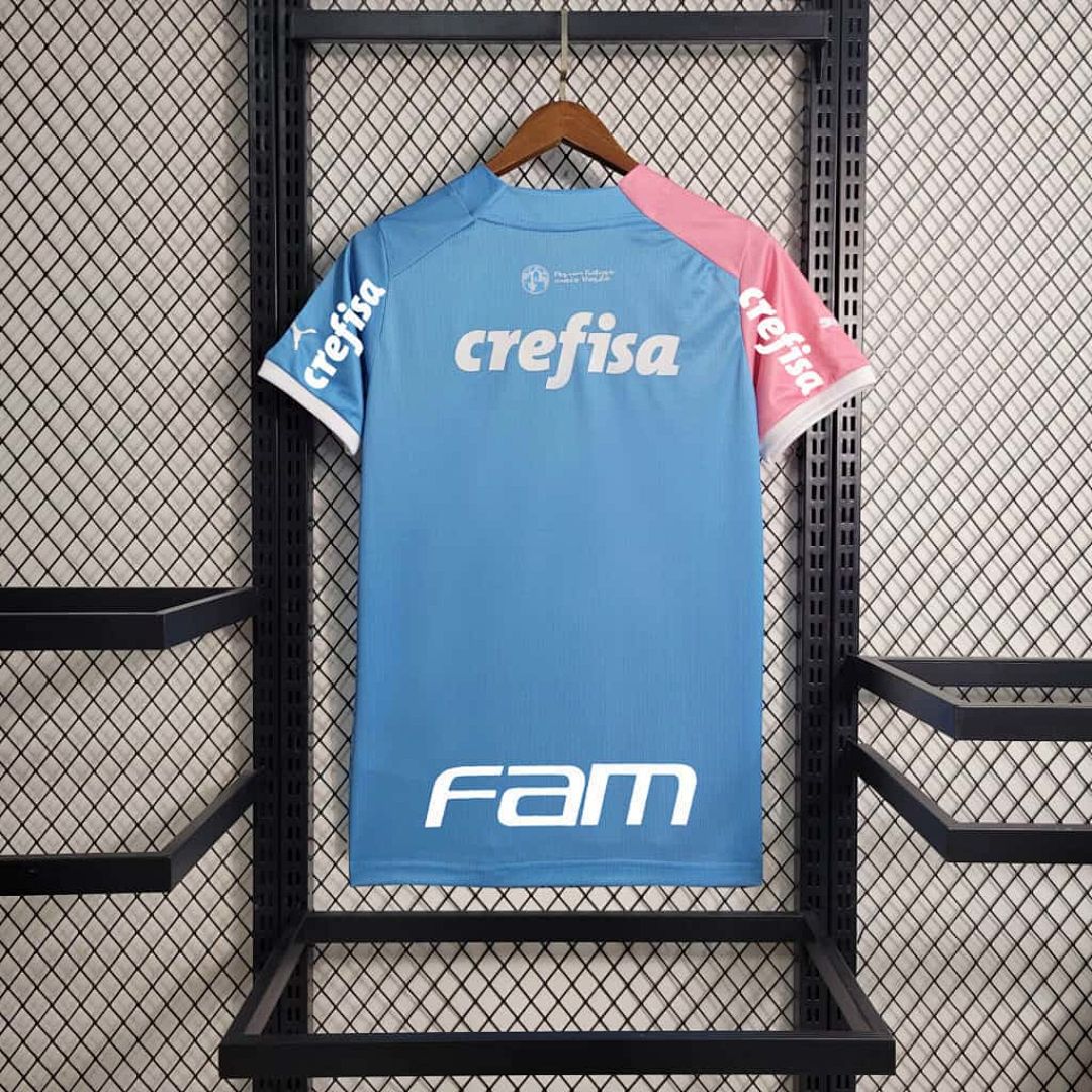 23-24 Palmeiras Special Edition Pink&amp;amp;Blue S-4XL Cheap Soccer Jerseys 7