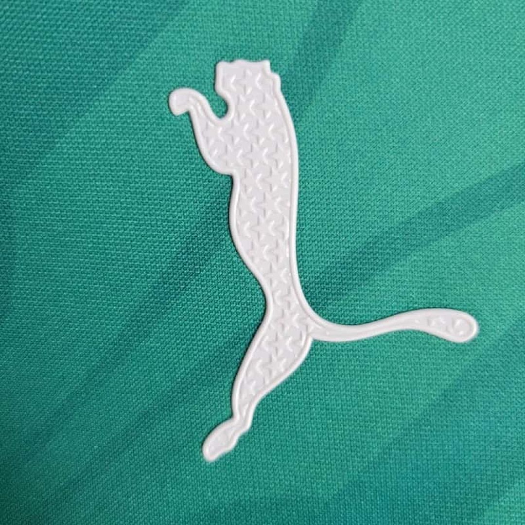 24-25 Palmeiras Training Kit 4