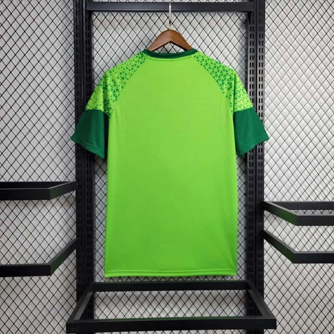 24-25 Palmeiras Training Shirt 2