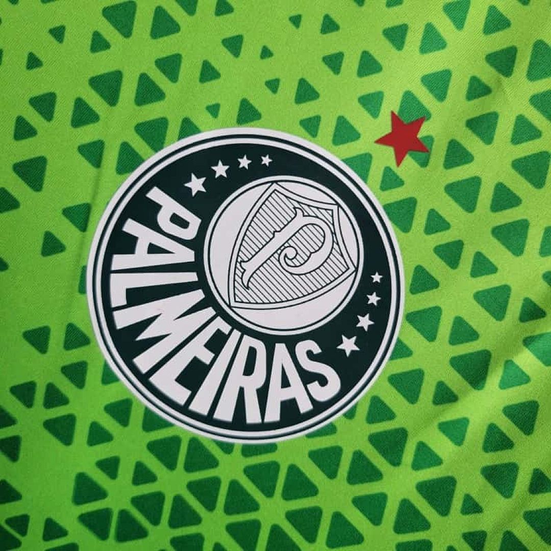 24-25 Palmeiras Training Shirt 3